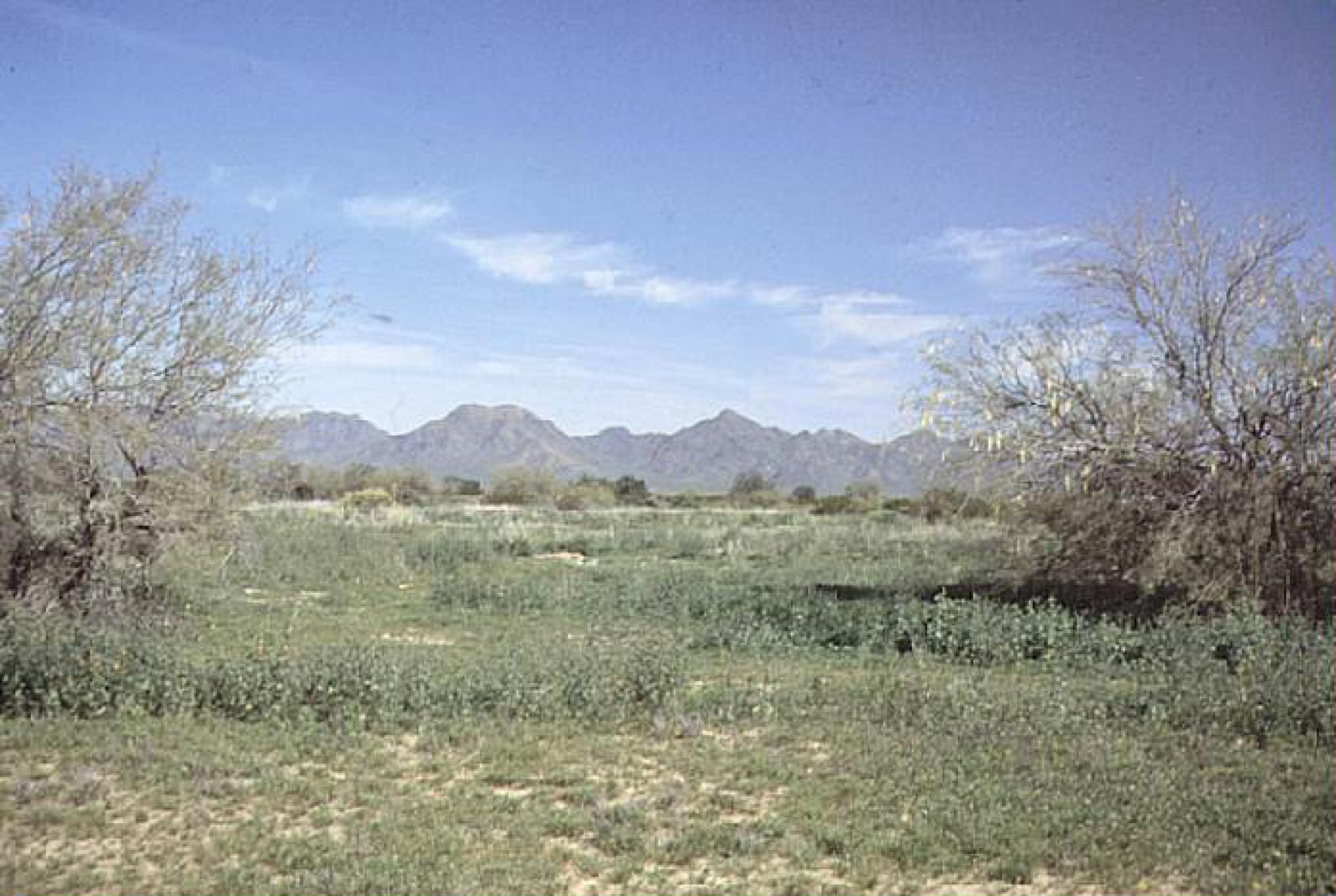 Kierland Project Site